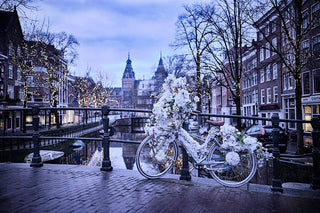 E-book Amsterdam 🇳🇱